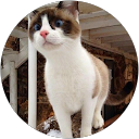 Schildersbedrijf Thd E profielfoto